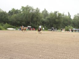IMG_5499_web